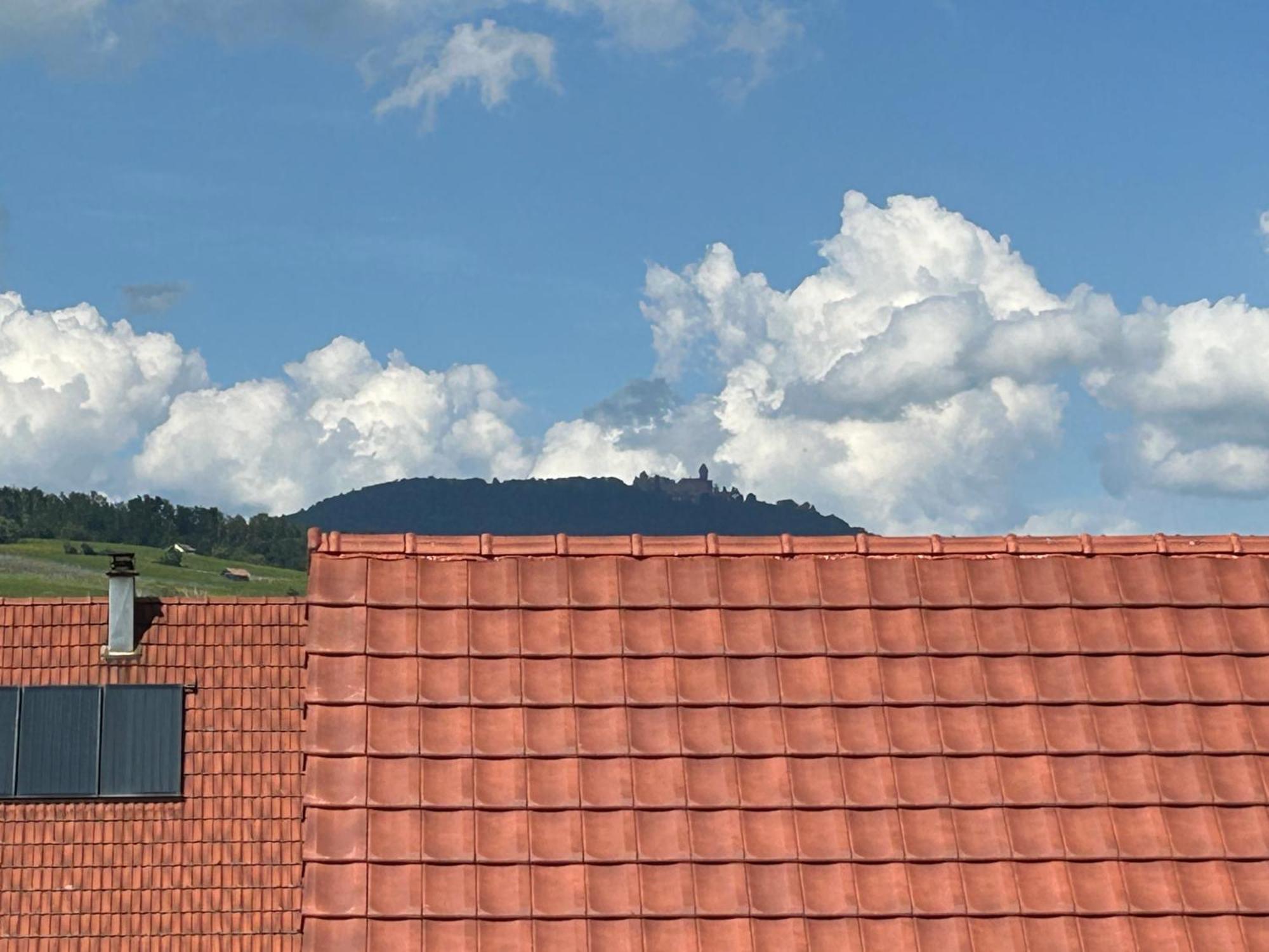 Gite Neuf En Duplex Tout Confort Ribeauvillé Εξωτερικό φωτογραφία